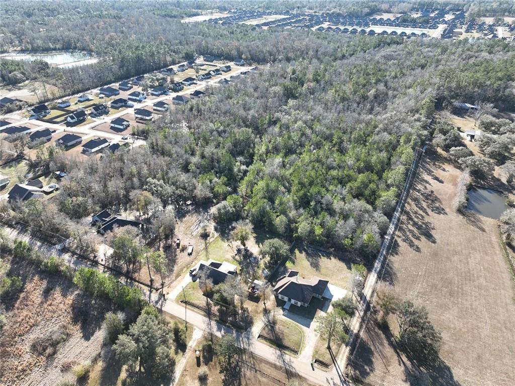 93.73-acres Brown Road Ponchatoula, LA 70454 - Photo 5 of 19