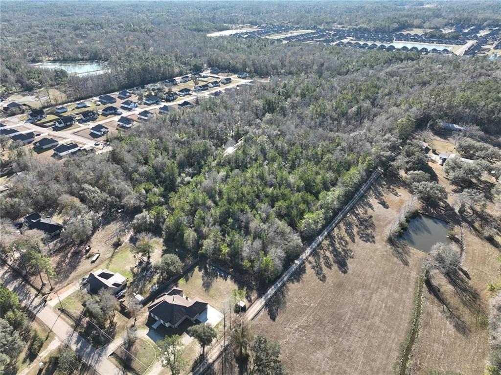 93.73-acres Brown Road Ponchatoula, LA 70454 - Photo 6 of 19