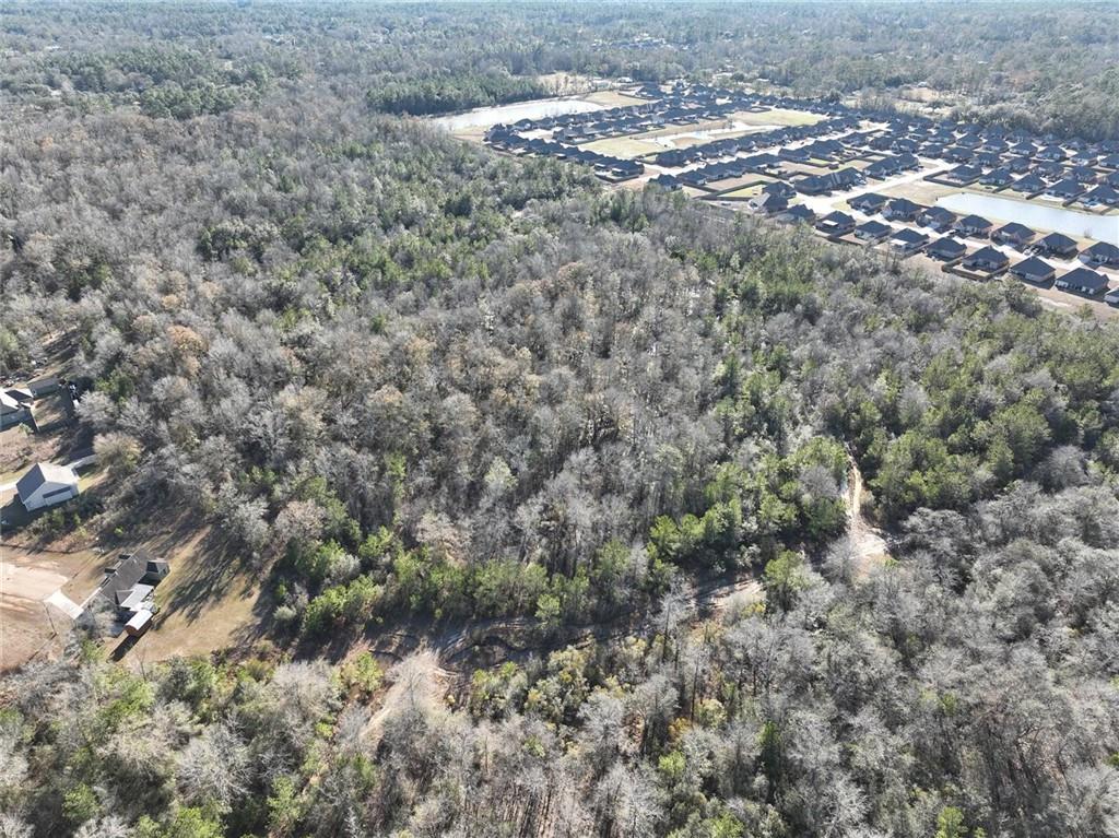 93.73-acres Brown Road Ponchatoula, LA 70454 - Photo 7 of 19