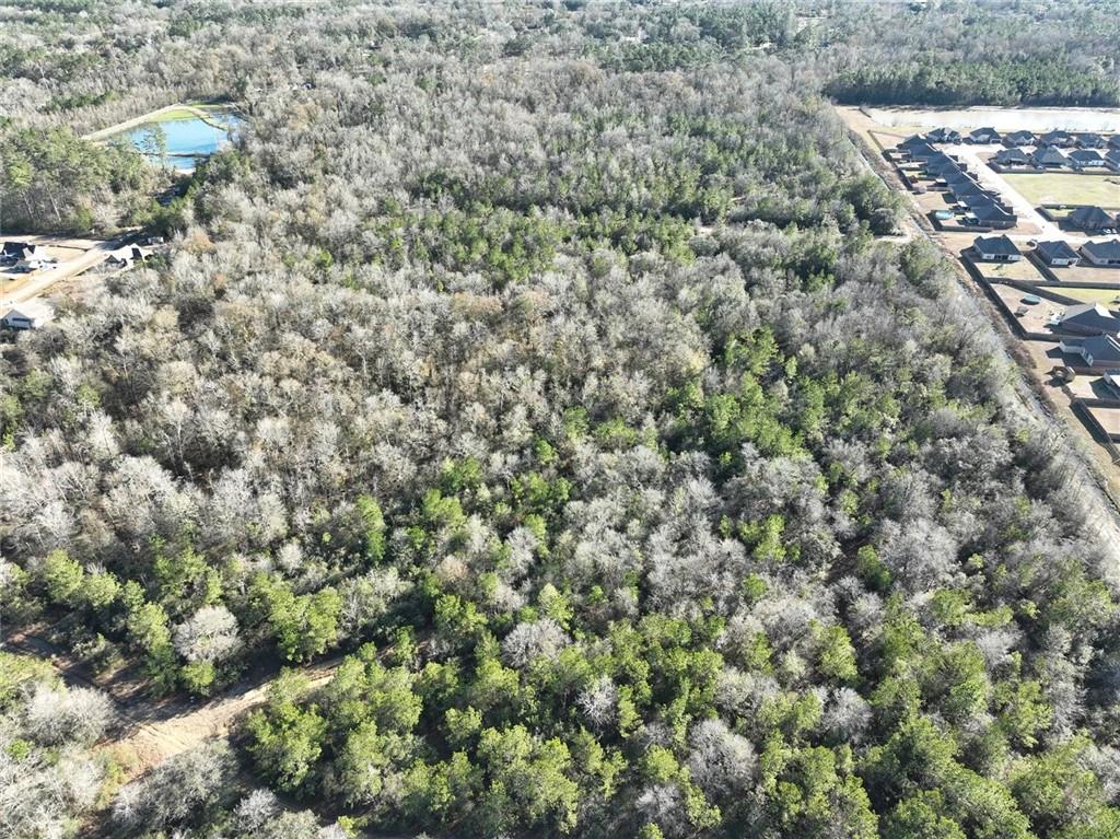 93.73-acres Brown Road Ponchatoula, LA 70454 - Photo 8 of 19