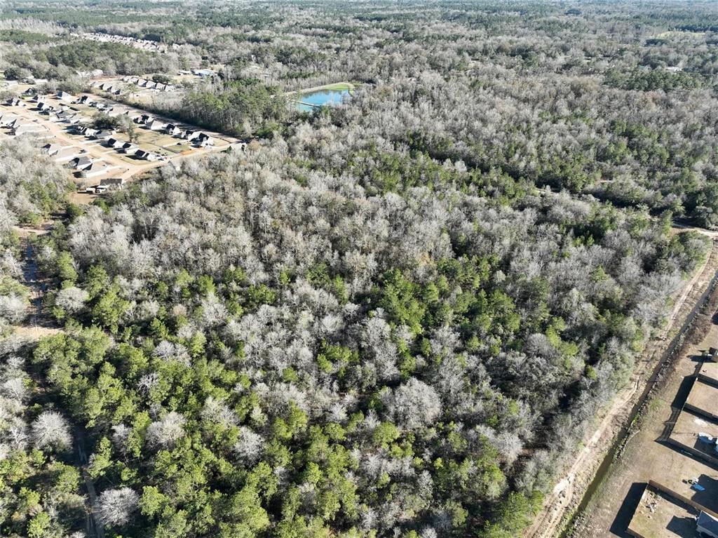 93.73-acres Brown Road Ponchatoula, LA 70454 - Photo 9 of 19