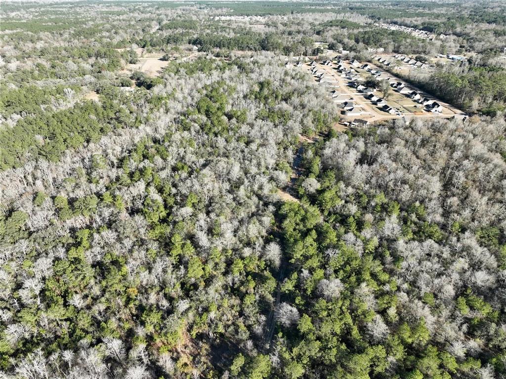 93.73-acres Brown Road Ponchatoula, LA 70454 - Photo 10 of 19