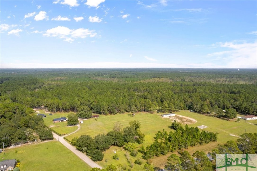 84 Hermon Butler Road Pembroke, GA 31321 - Photo 8 of 25