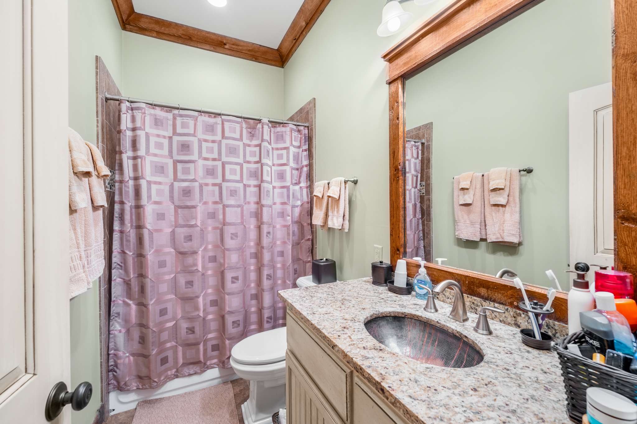 1257 Harris Hollow Road Charlotte, TN 37036 - Photo 19 of 53 a bathroom with a granite countertop sink a toilet a mirror and shower curtain