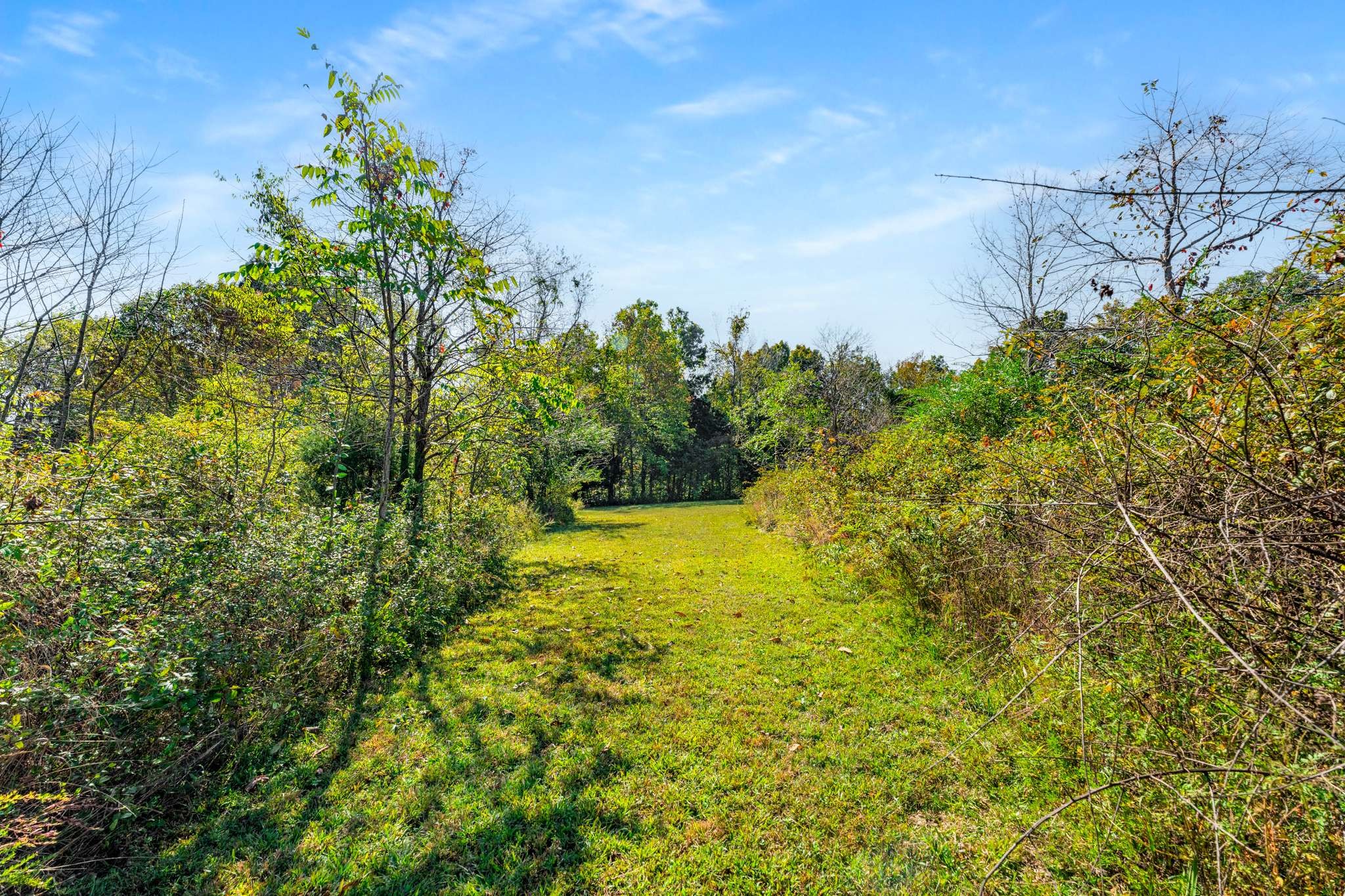 1257 Harris Hollow Road Charlotte, TN 37036 - Photo 35 of 53 a view of a garden