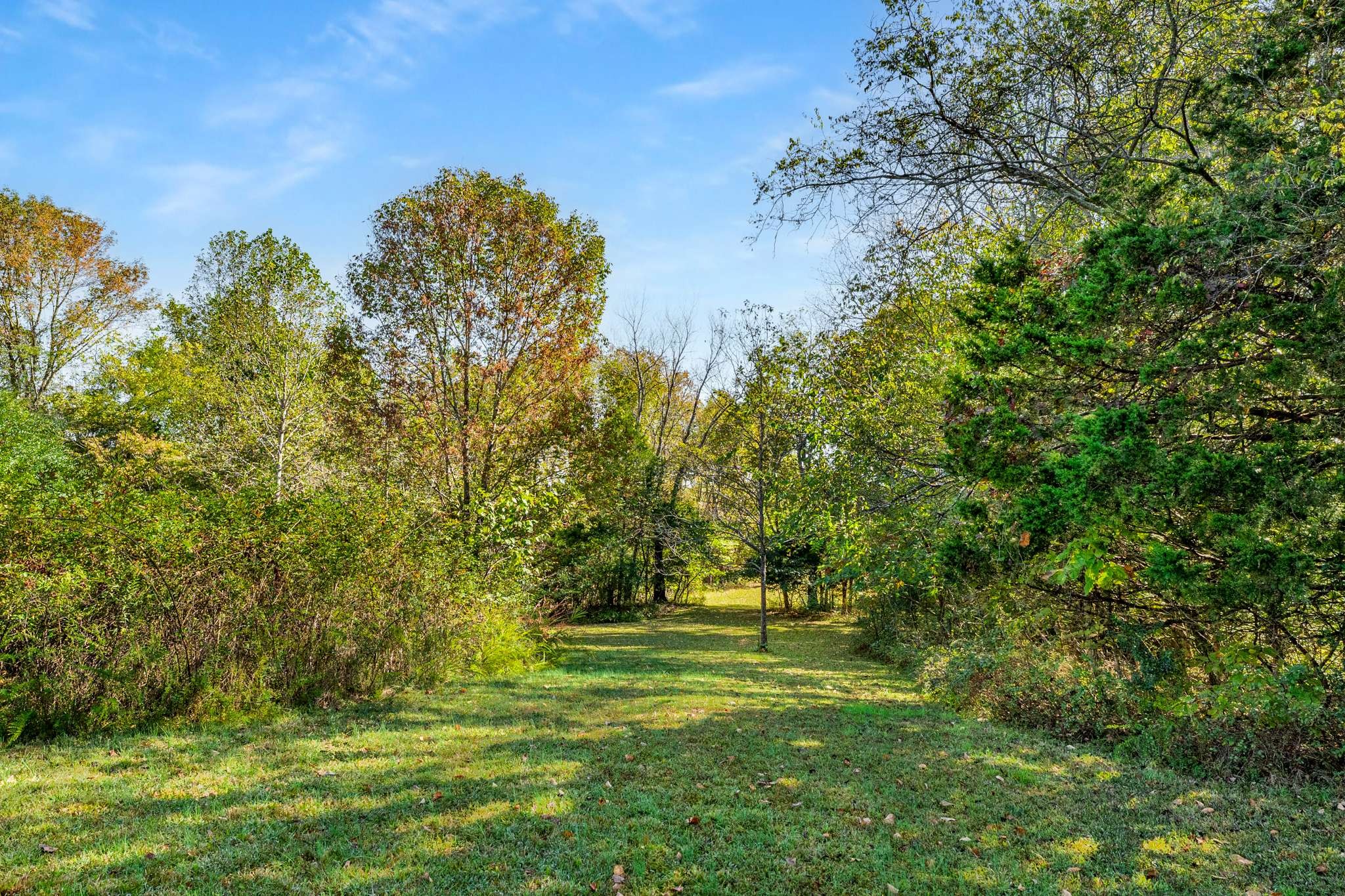 1257 Harris Hollow Road Charlotte, TN 37036 - Photo 36 of 53