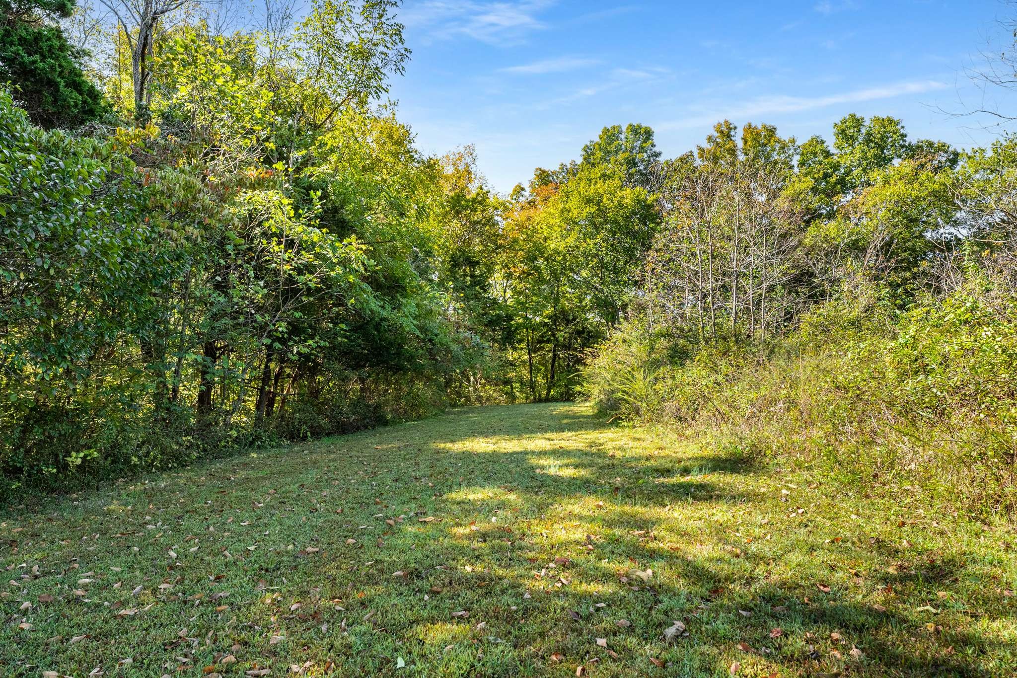 1257 Harris Hollow Road Charlotte, TN 37036 - Photo 37 of 53 a view of a yard with a tree