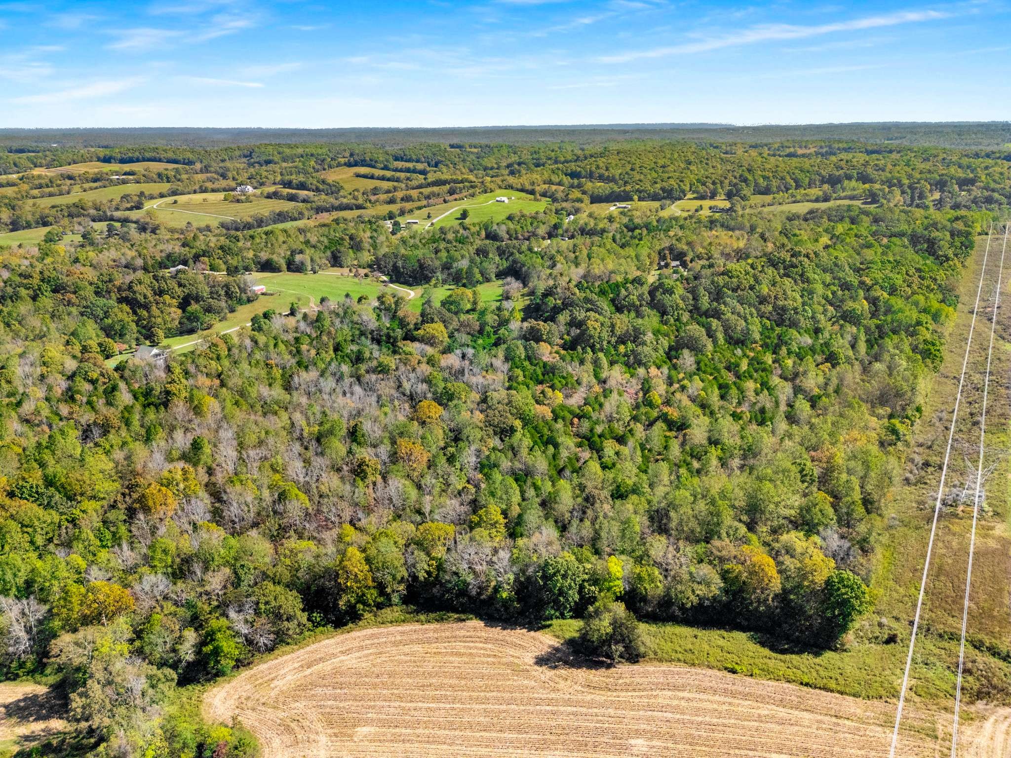 1257 Harris Hollow Road Charlotte, TN 37036 - Photo 44 of 53