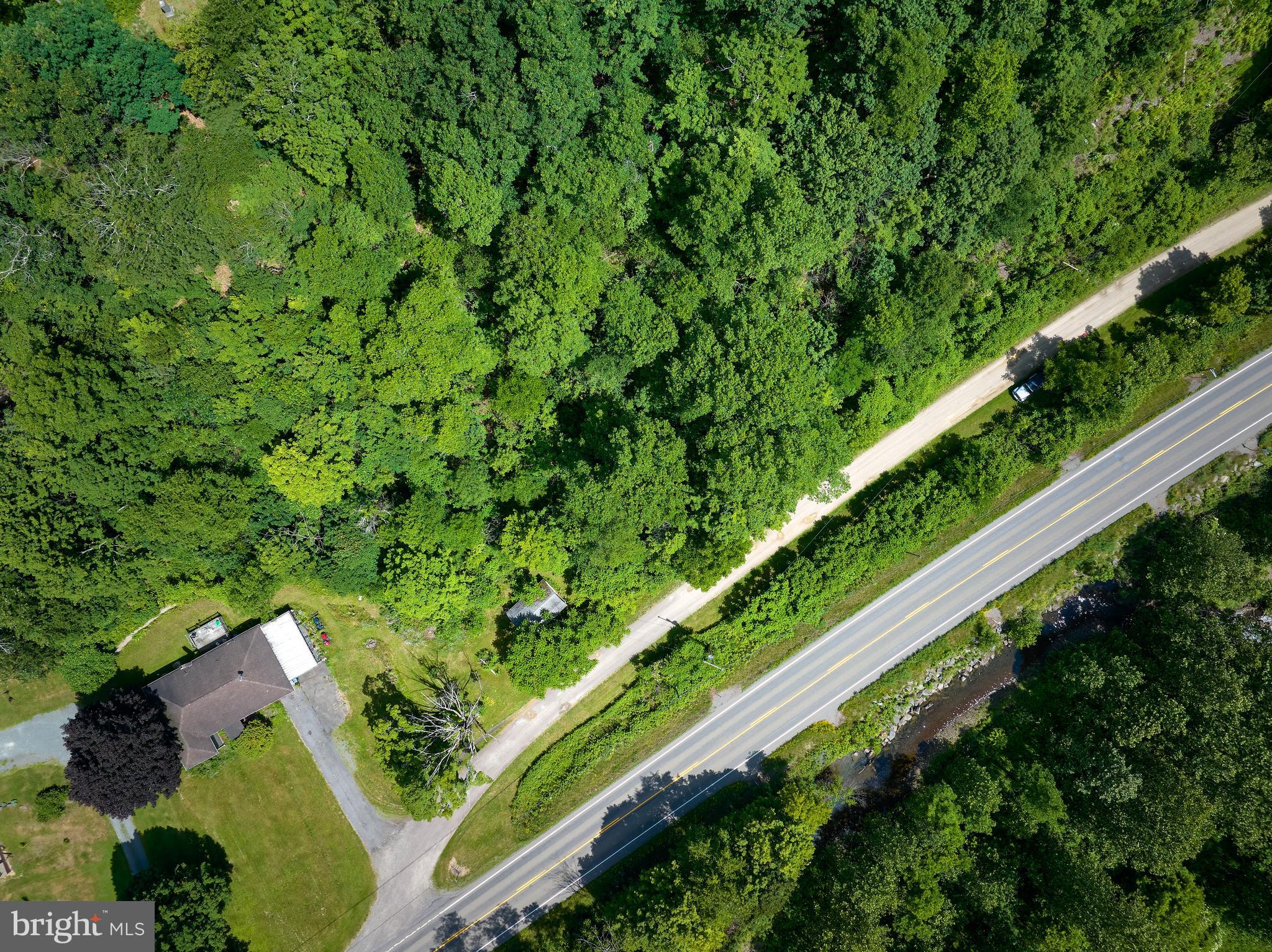 0 Peepaw Road Roaring Branch, PA 17765 - Photo 5 of 26