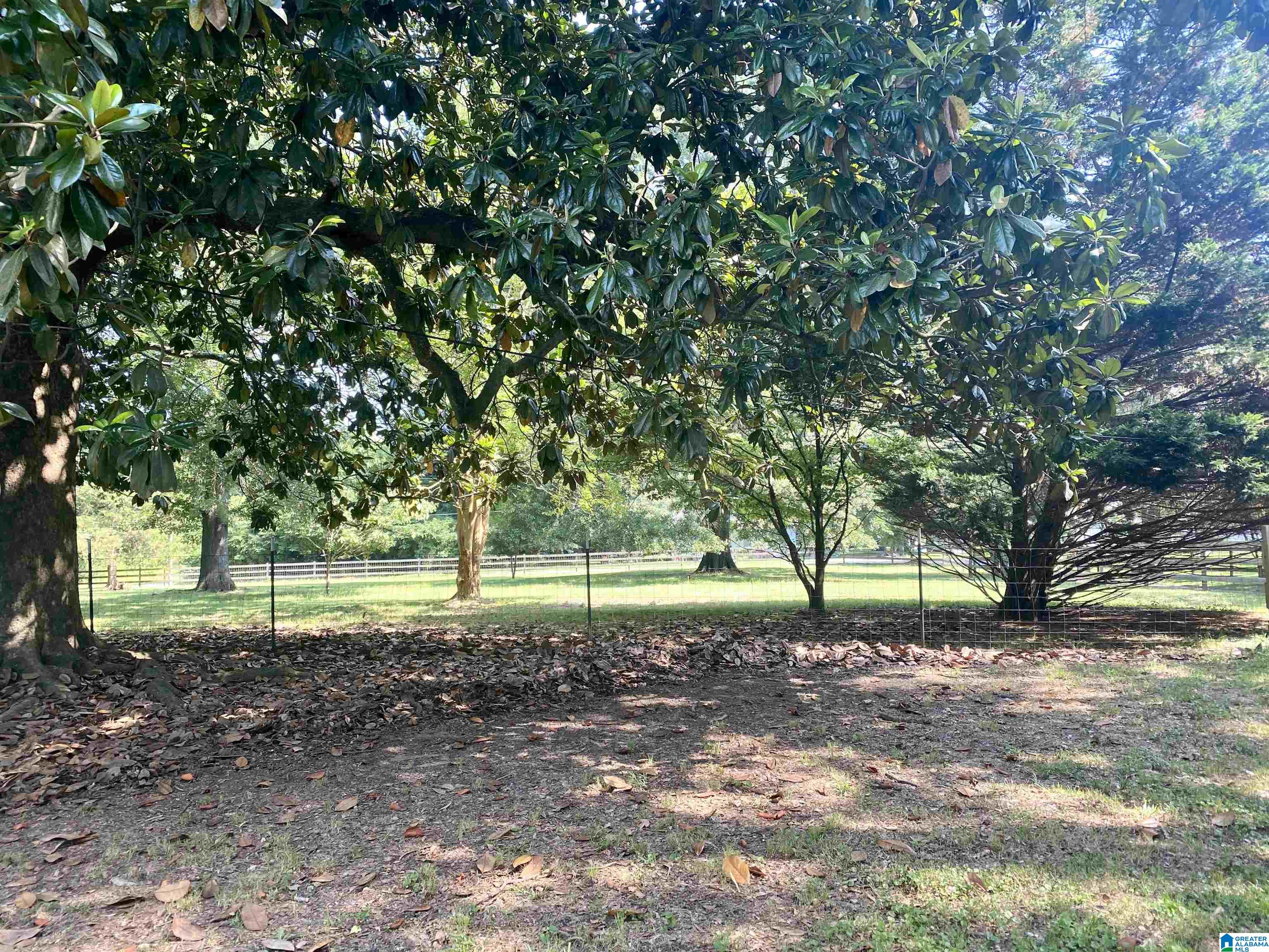 454 Buckelew Bridge Road Anniston, AL 36207 - Photo 24 of 50