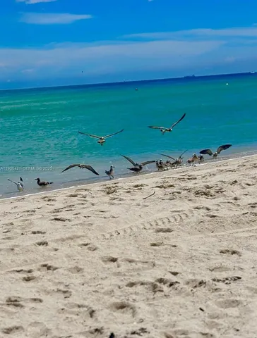 a view of a beach with a ocean view