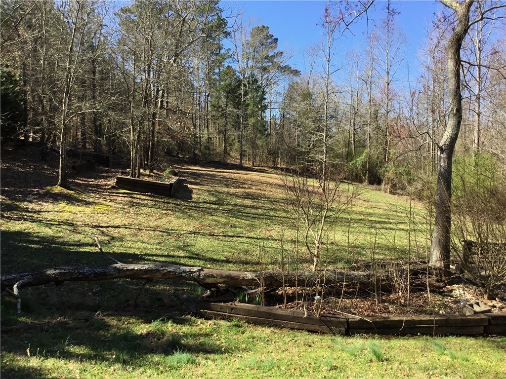 401 Brooks Road Belton, SC 29627 - Photo 6 of 24