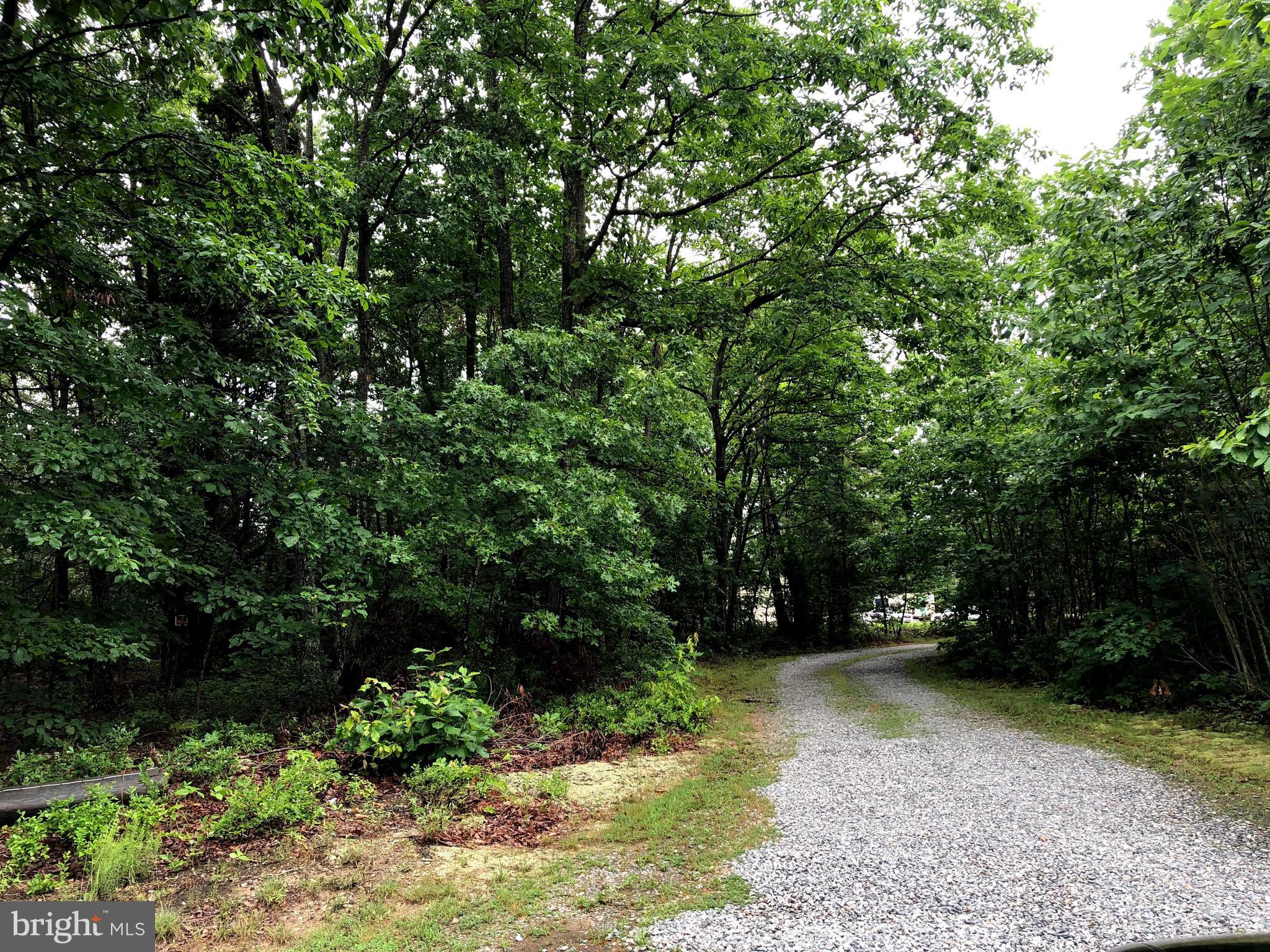 1409 Mica Road Mineral, VA 23117 - Photo 16 of 16 Driveway