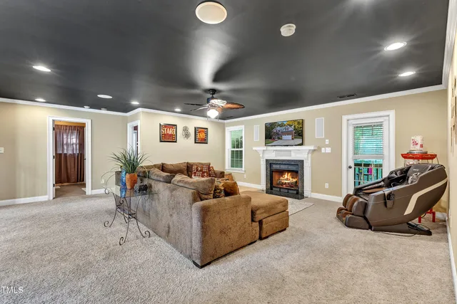 a view of a forest with trees