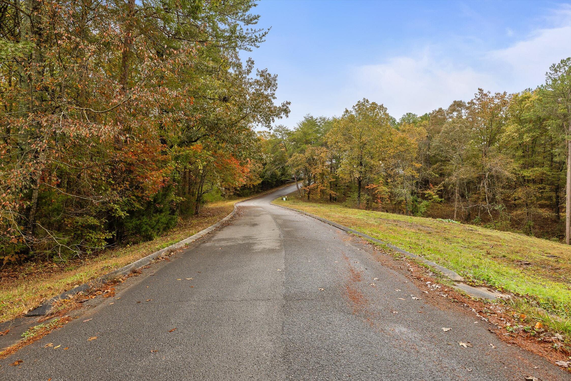 0 Countryside Drive Dunlap, TN 37327 - Photo 3 of 34 02-Countryside-2