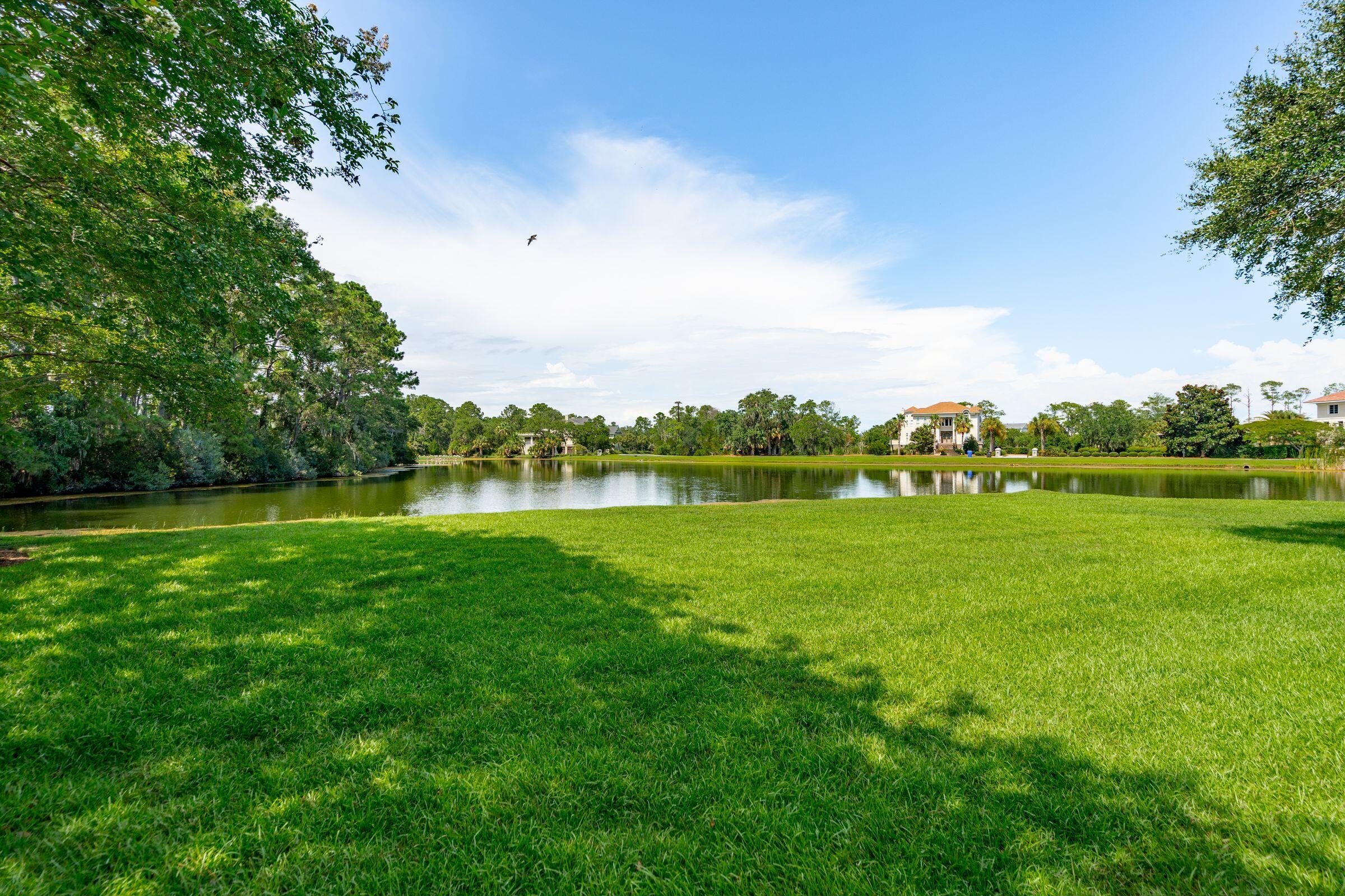 1663 Omni Boulevard Mount Pleasant, SC 29466 - Photo 53 of 73 Backyard with Lake