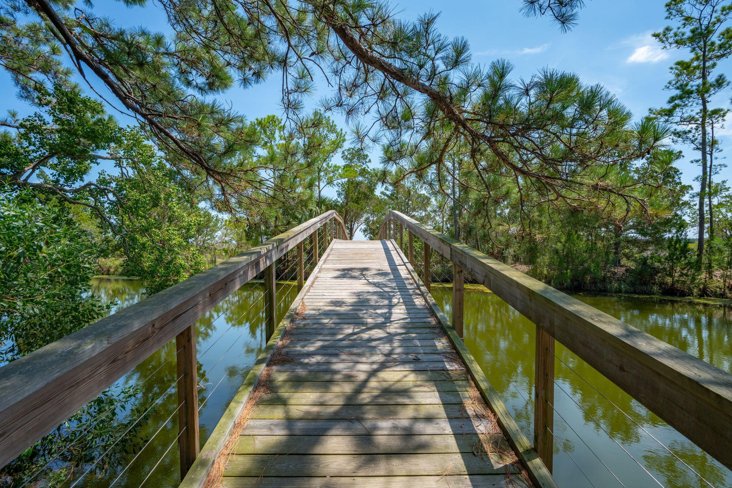 1663 Omni Boulevard Mount Pleasant, SC 29466 - Photo 69 of 73 Walking and Jogging Trails