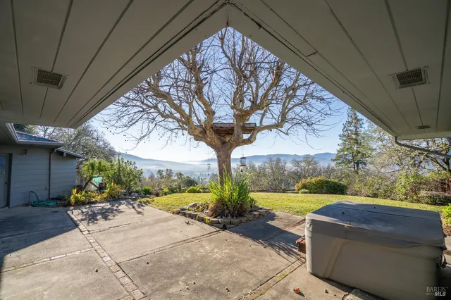 a view of a large trees with lots of trees