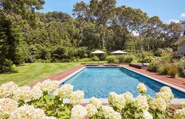 a view of a swimming pool and lounge chair