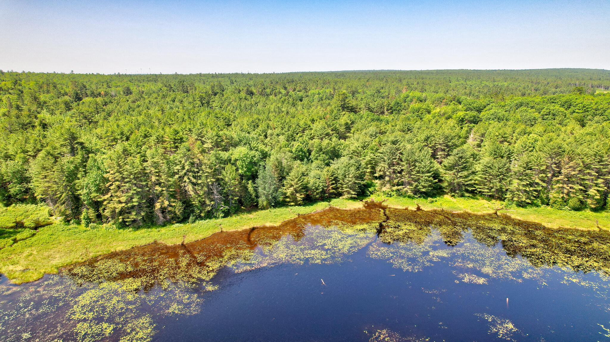M19-l8 Church Farm Road Beddington, ME 04622 - Photo 13 of 22 dji_fly_20250624_104104_553_175077752764