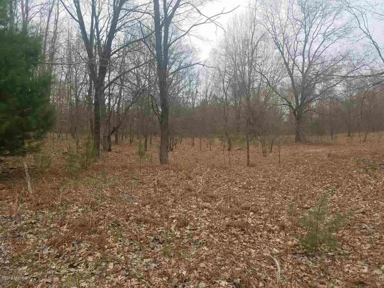 Vl East Yale Road, Unit PAR E Hesperia, MI 49421 - Photo 12 of 21 Gallery Image 12