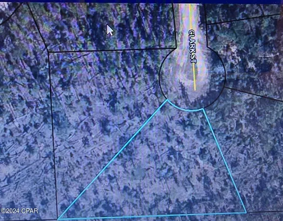 $20,900 | Lot 21 Clark, Alford, FL 32420