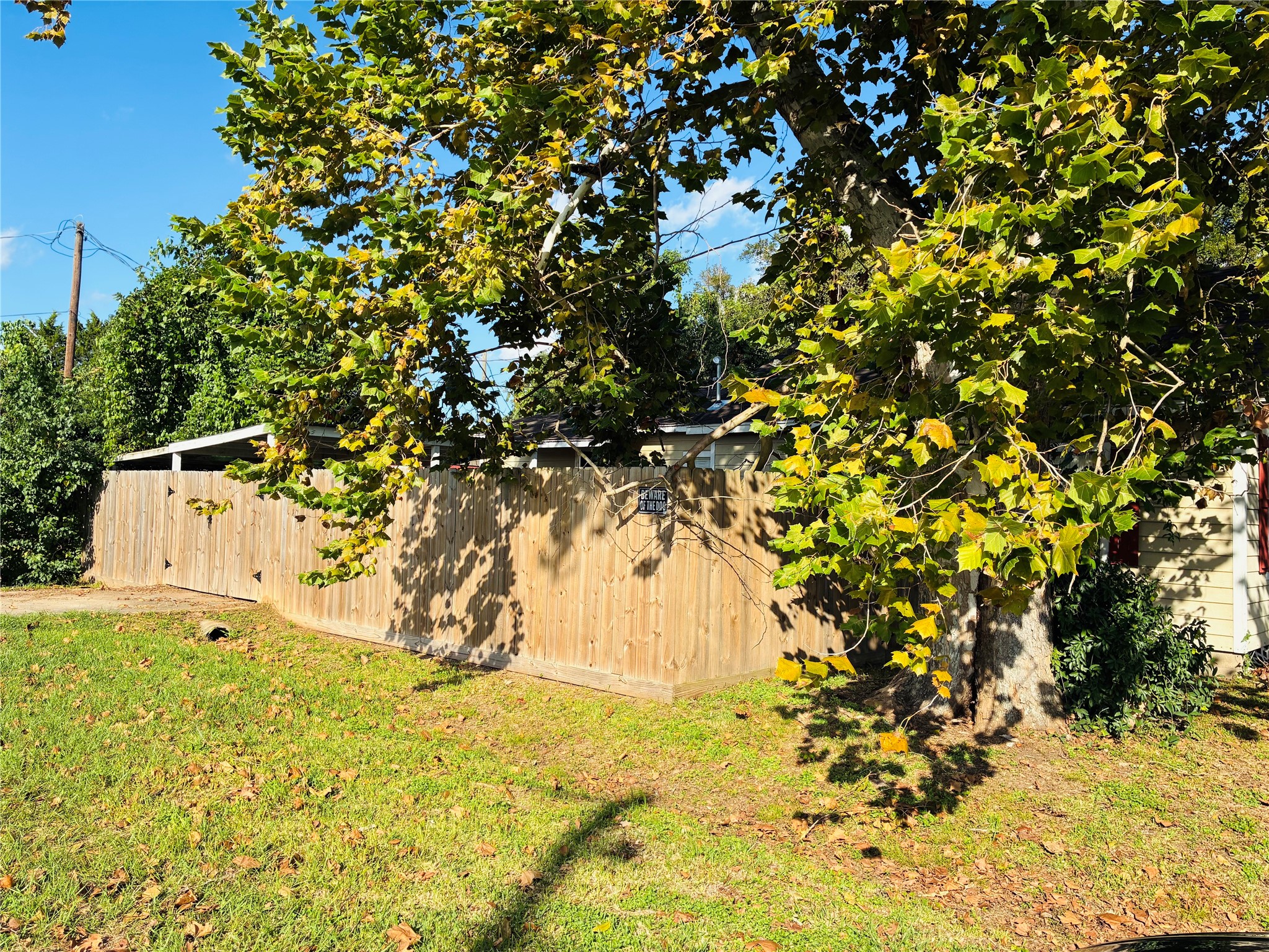 201 East Front Street Brazoria, TX 77422 - Photo 2 of 13 a view of yard with tree in back