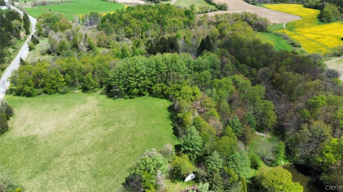 1720 County Route 12 De Ruyter, NY 13052 - Photo 46 of 49
