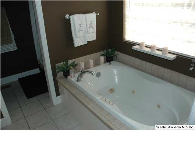 7684 Highway 11 Springville, AL 35146 - Photo 7 of 17