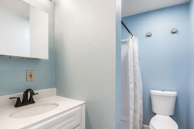 a view of a large garden with palm trees