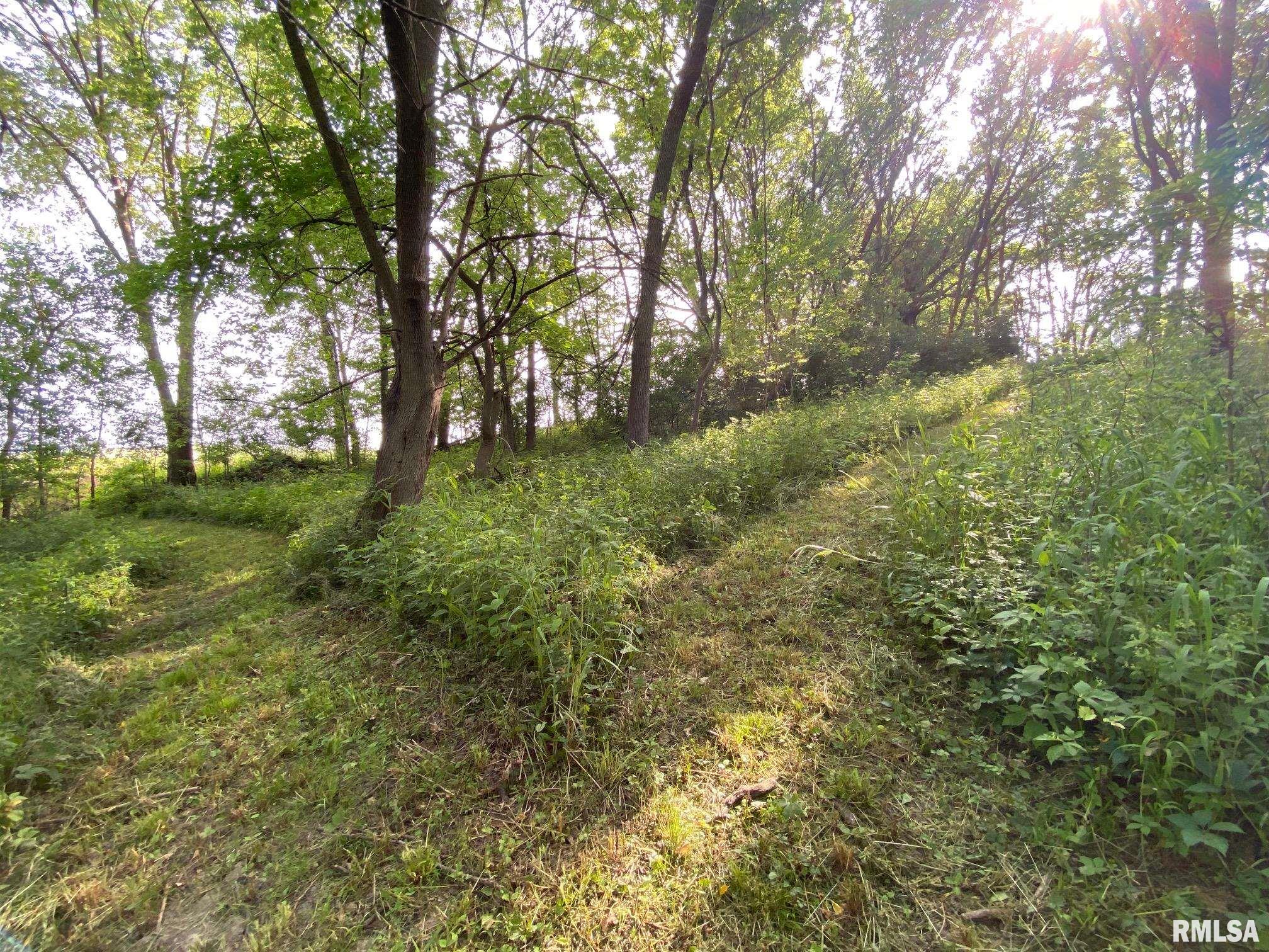 2395 Rolf Road Arenzville, IL 62611 - Photo 11 of 15