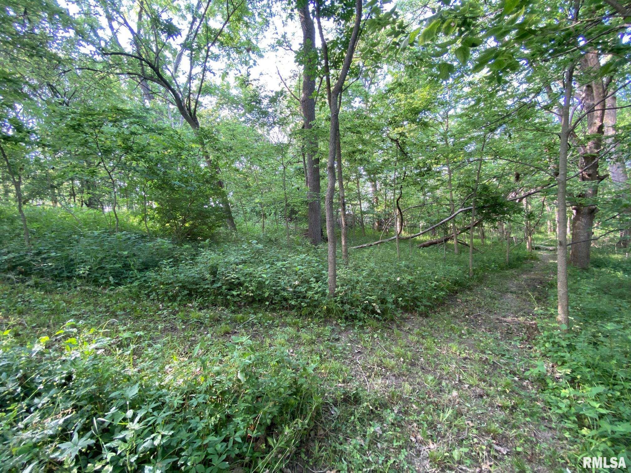 2395 Rolf Road Arenzville, IL 62611 - Photo 12 of 15