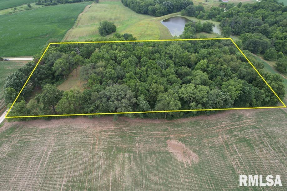 2395 Rolf Road Arenzville, IL 62611 - Photo 3 of 15