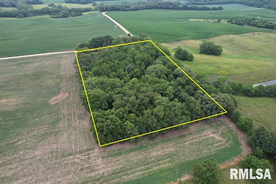 2395 Rolf Road Arenzville, IL 62611 - Photo 4 of 15