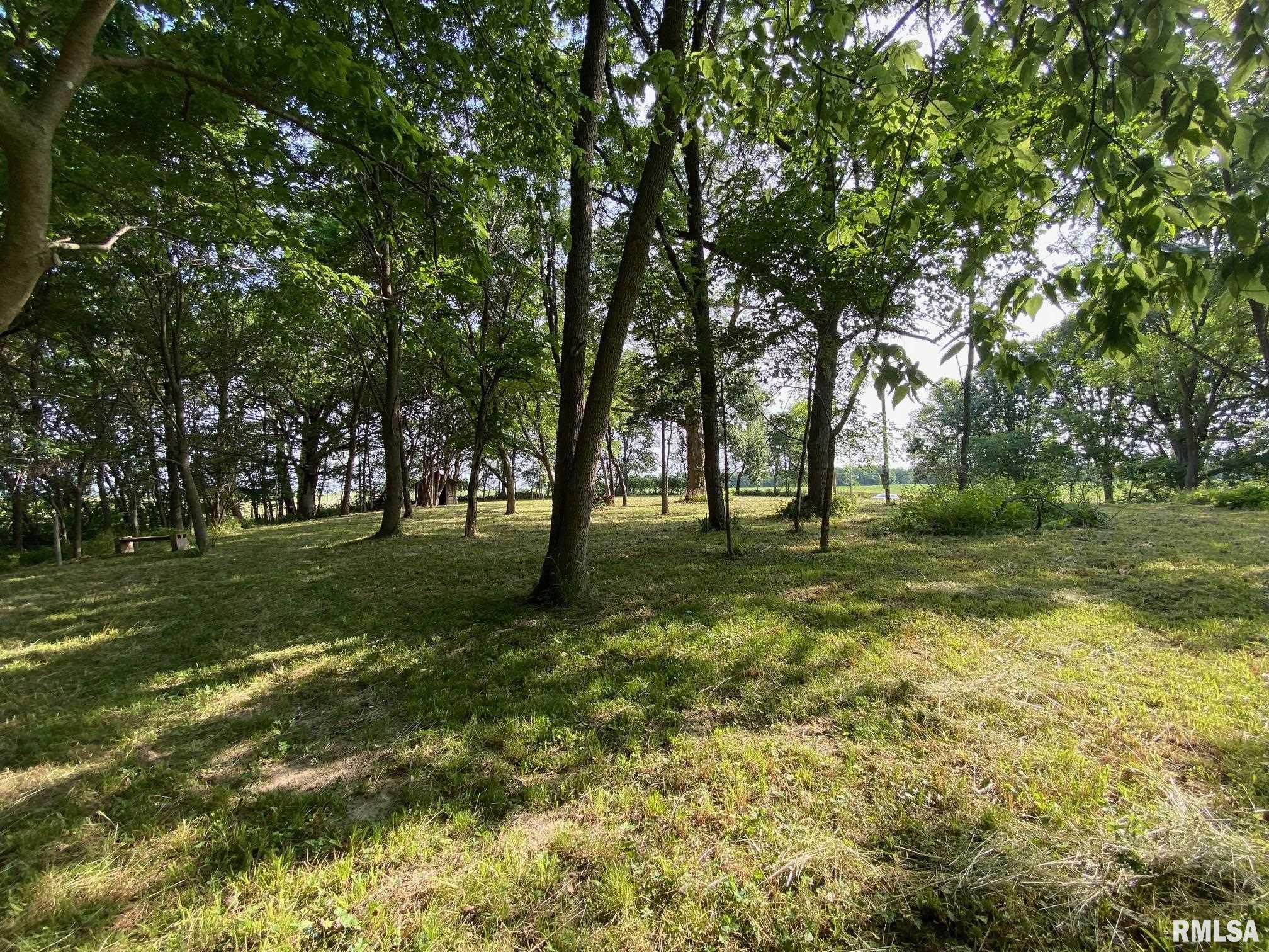 2395 Rolf Road Arenzville, IL 62611 - Photo 9 of 15