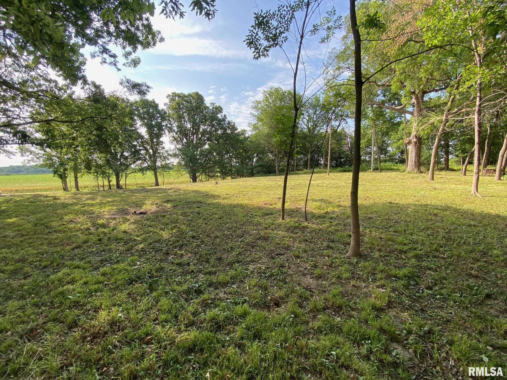 2395 Rolf Road Arenzville, IL 62611 - Photo 10 of 15