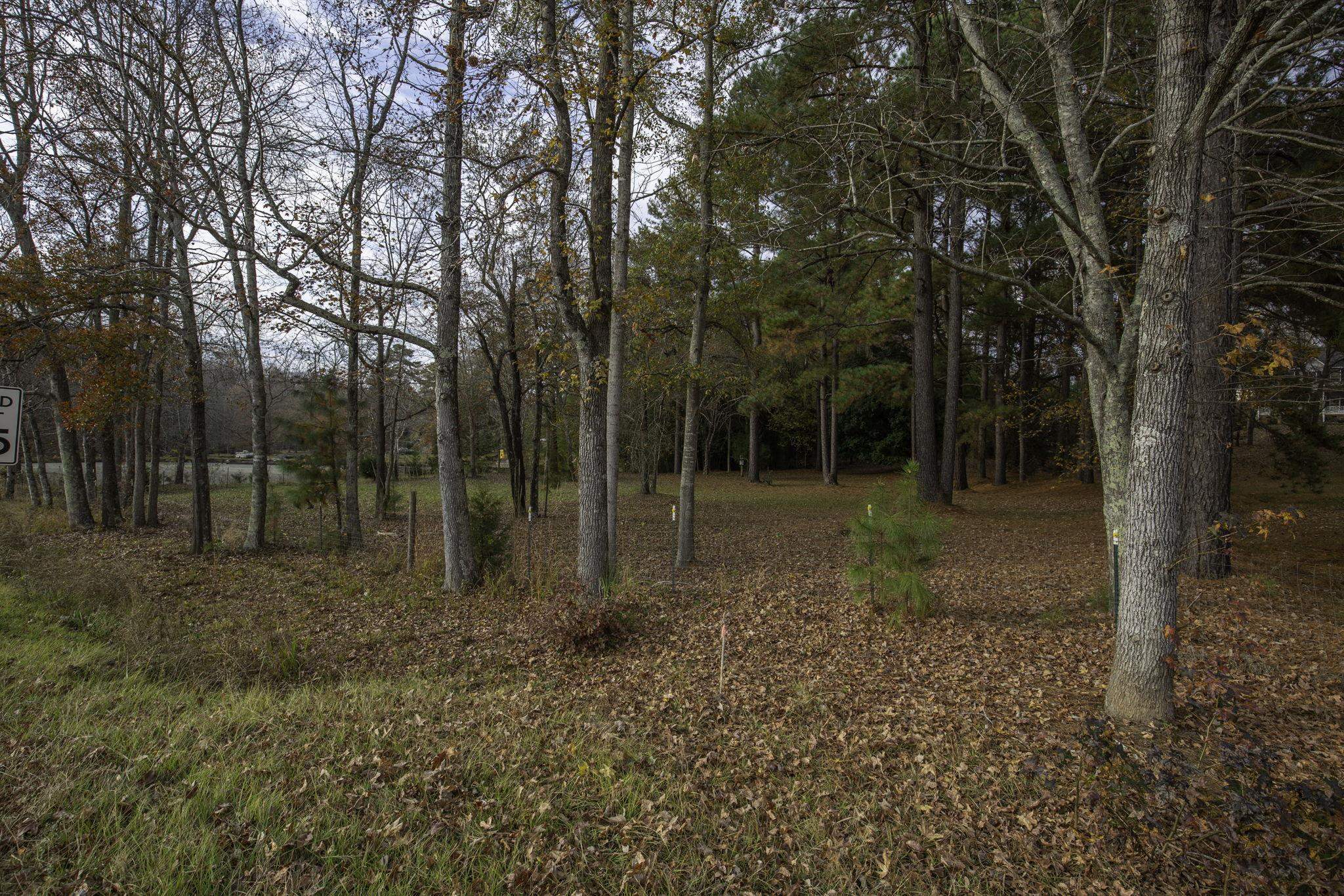 2120 Gap Creek Road Greer, SC 29651 - Photo 20 of 44