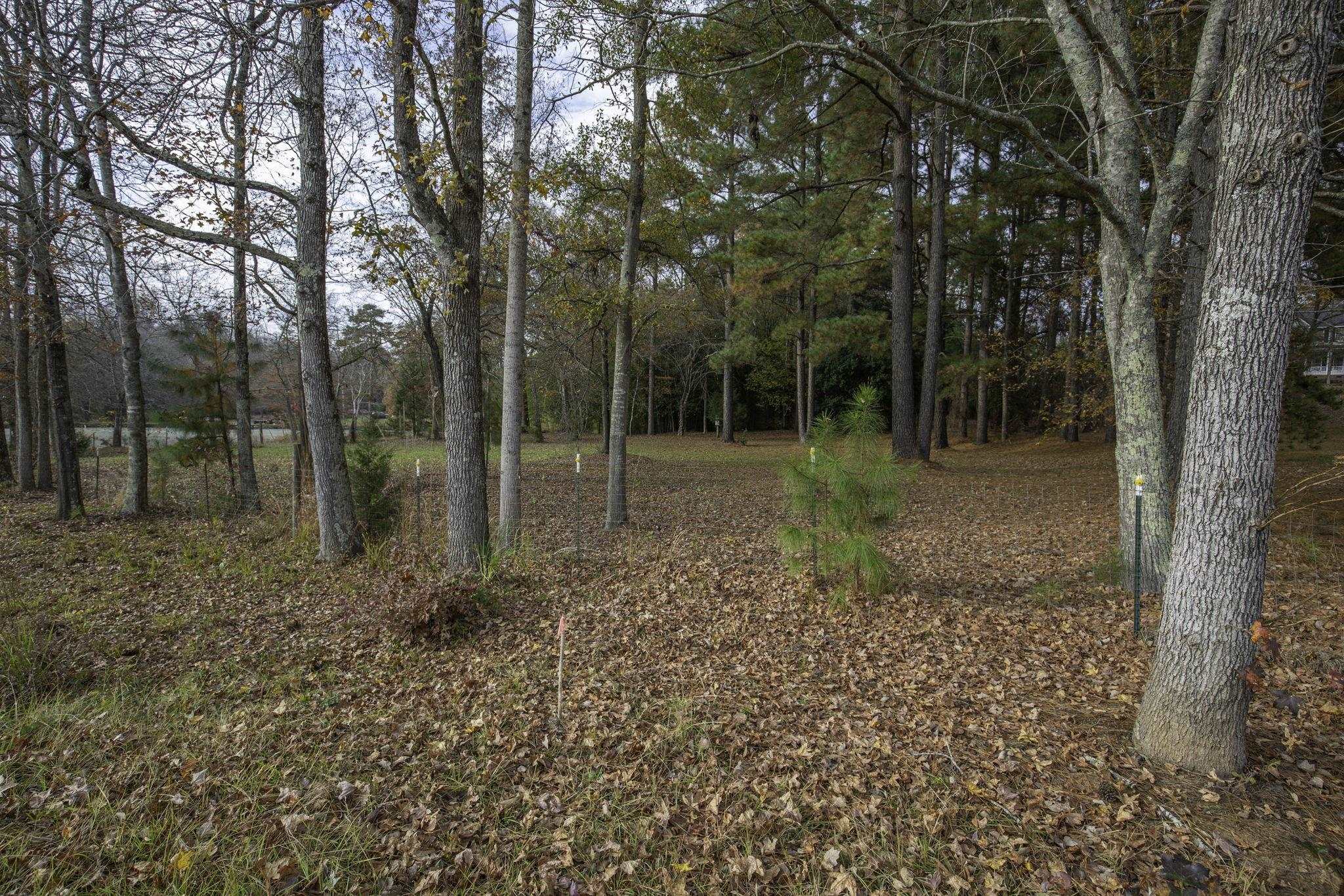 2120 Gap Creek Road Greer, SC 29651 - Photo 21 of 44