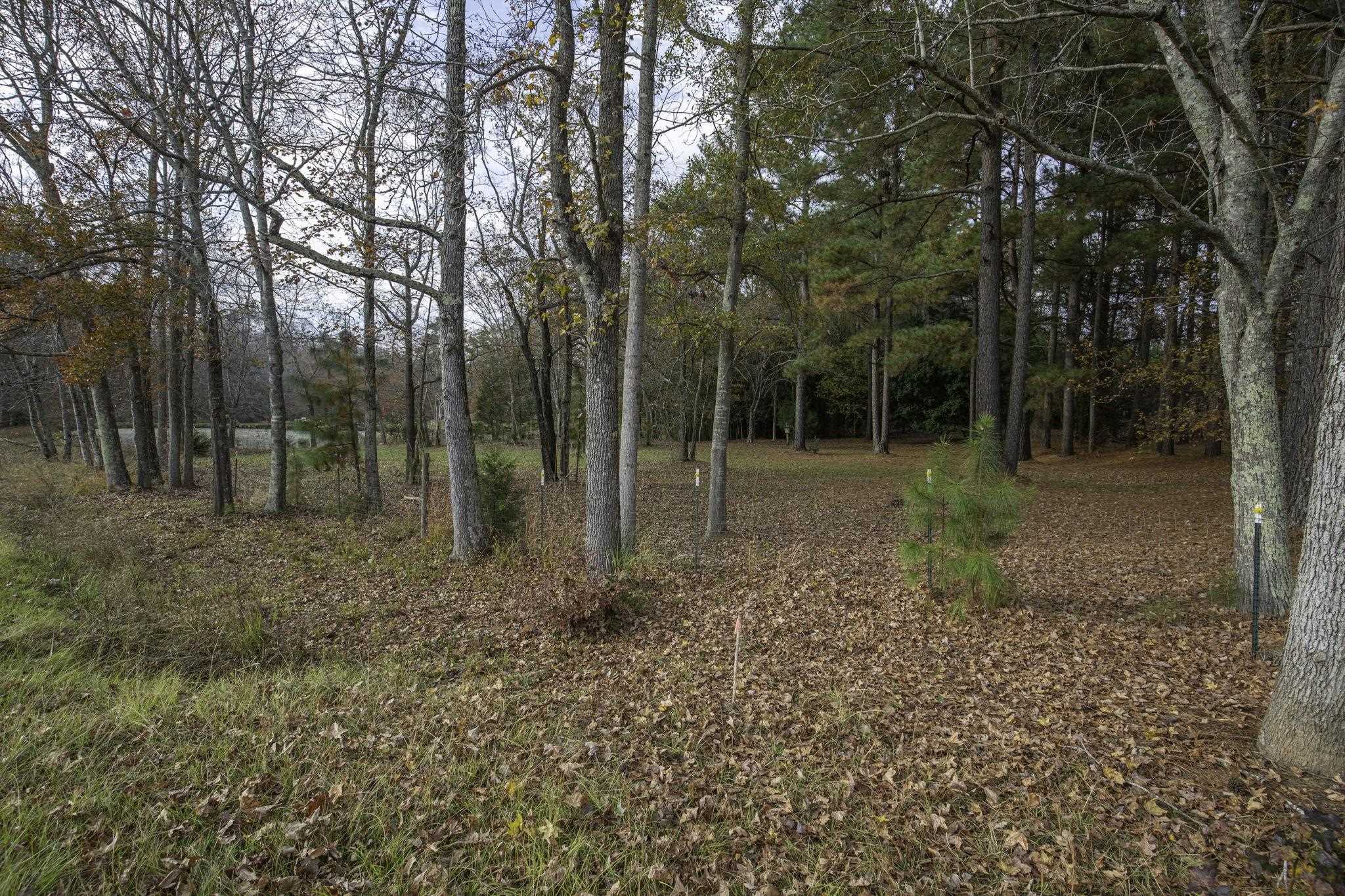 2120 Gap Creek Road Greer, SC 29651 - Photo 22 of 44