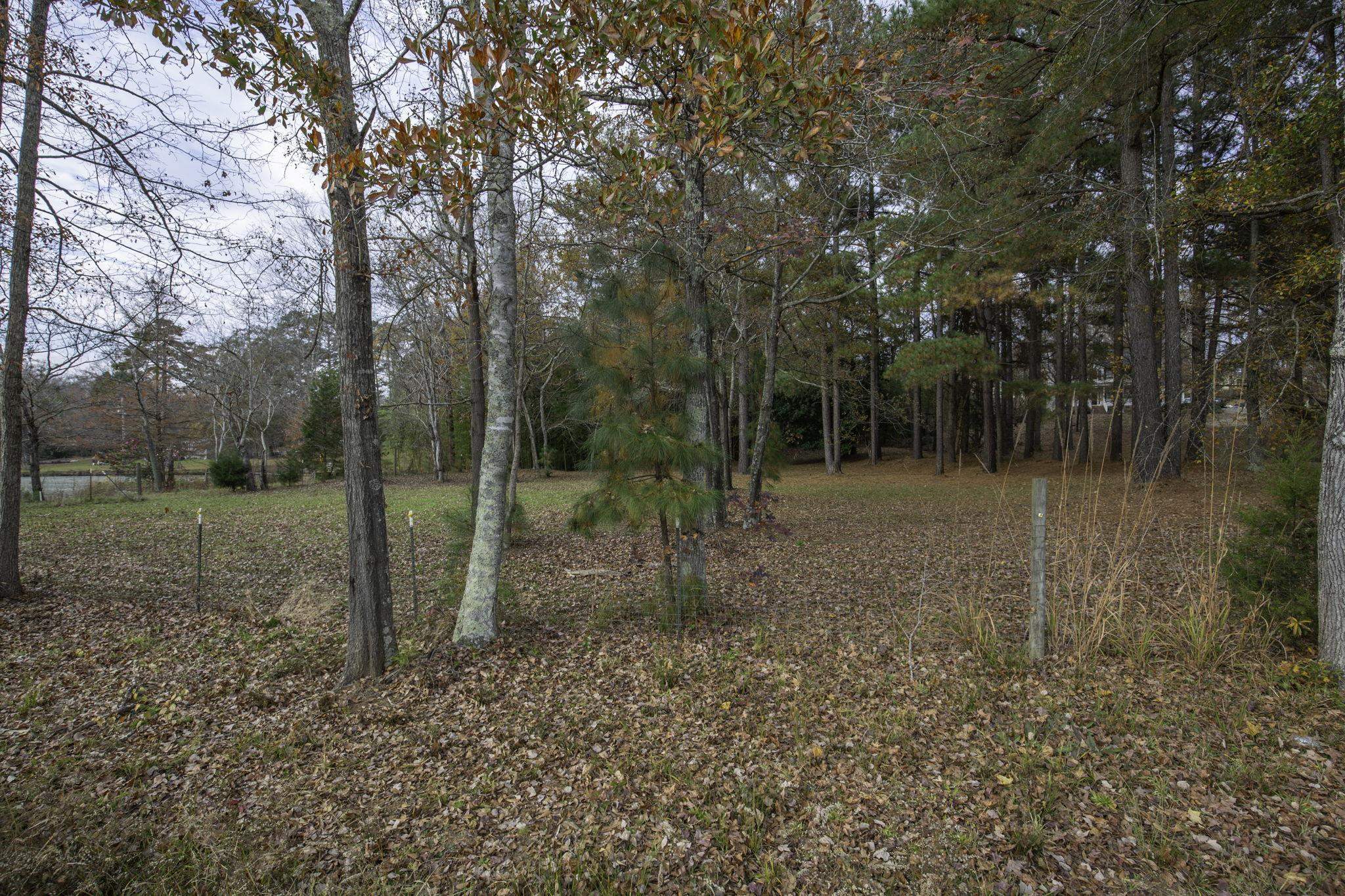 2120 Gap Creek Road Greer, SC 29651 - Photo 24 of 44