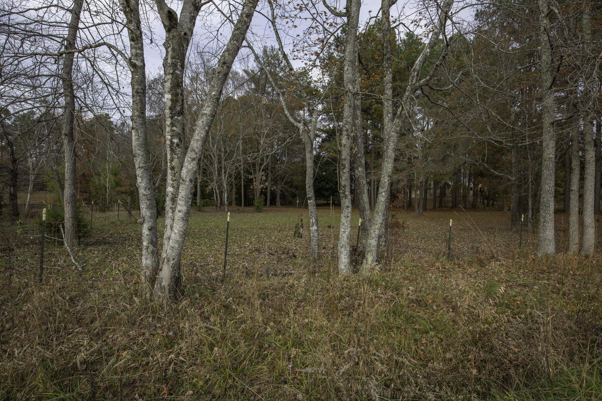 2120 Gap Creek Road Greer, SC 29651 - Photo 25 of 44