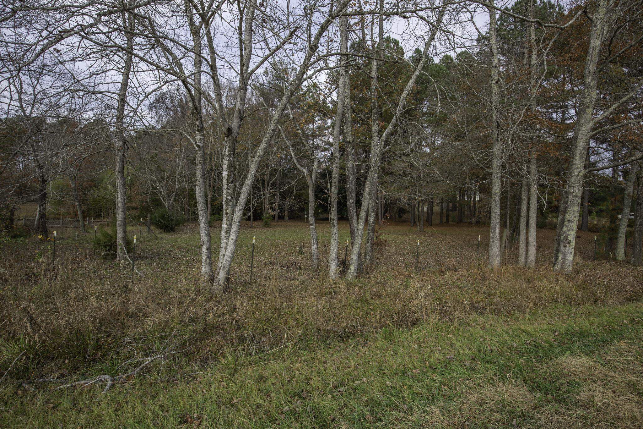 2120 Gap Creek Road Greer, SC 29651 - Photo 26 of 44