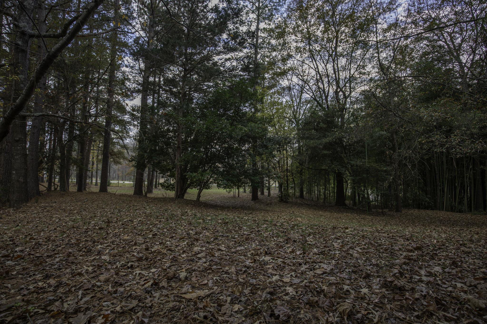 2120 Gap Creek Road Greer, SC 29651 - Photo 27 of 44