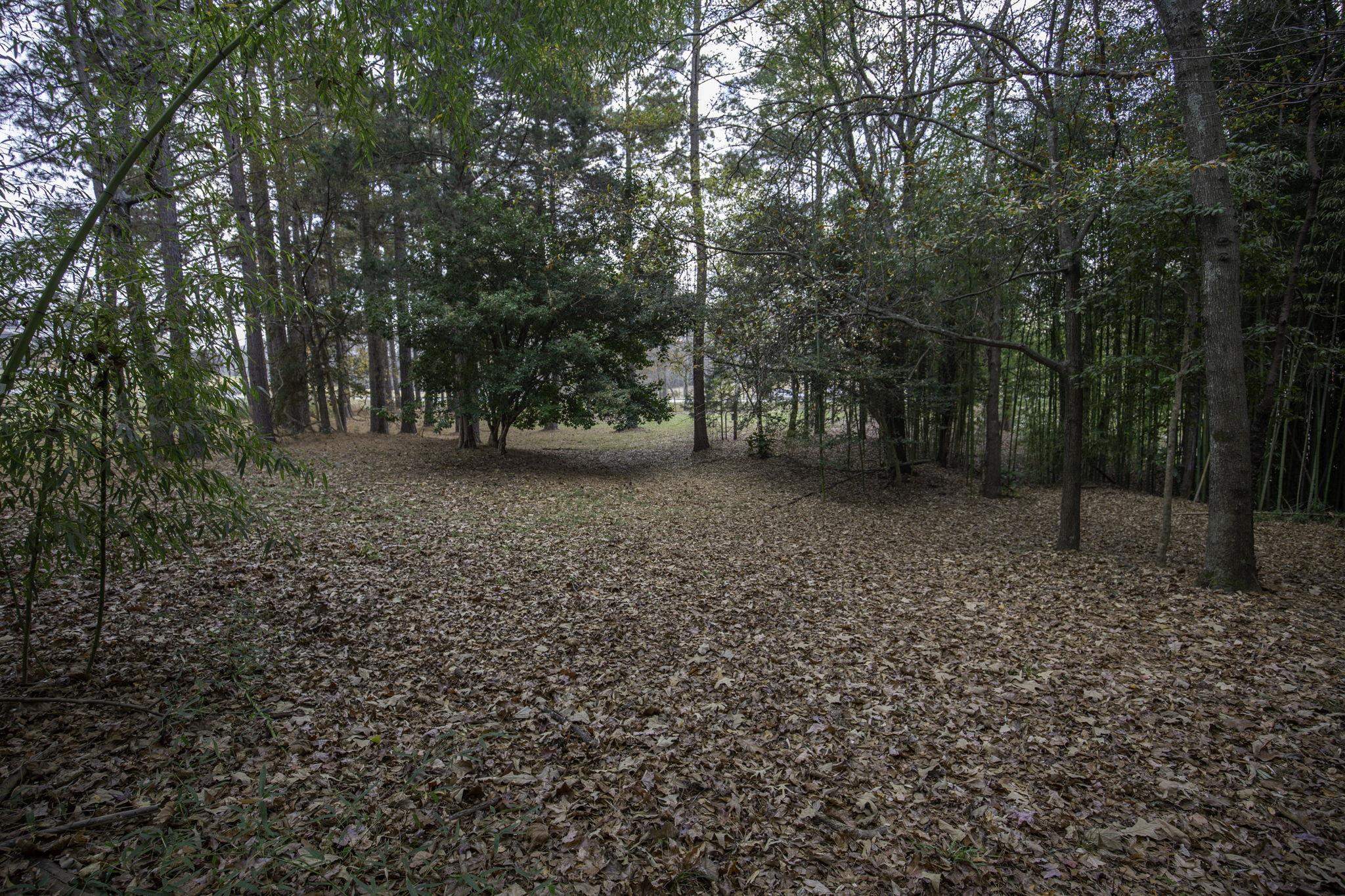 2120 Gap Creek Road Greer, SC 29651 - Photo 28 of 44