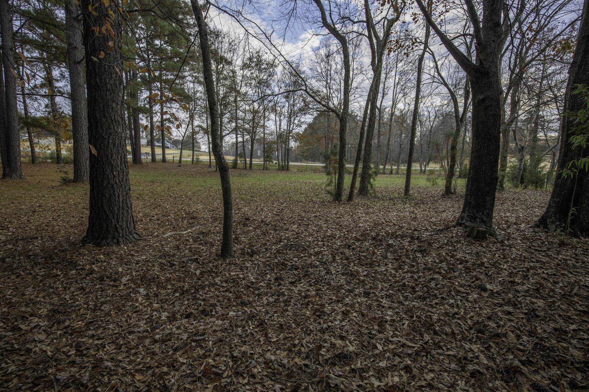 2120 Gap Creek Road Greer, SC 29651 - Photo 29 of 44