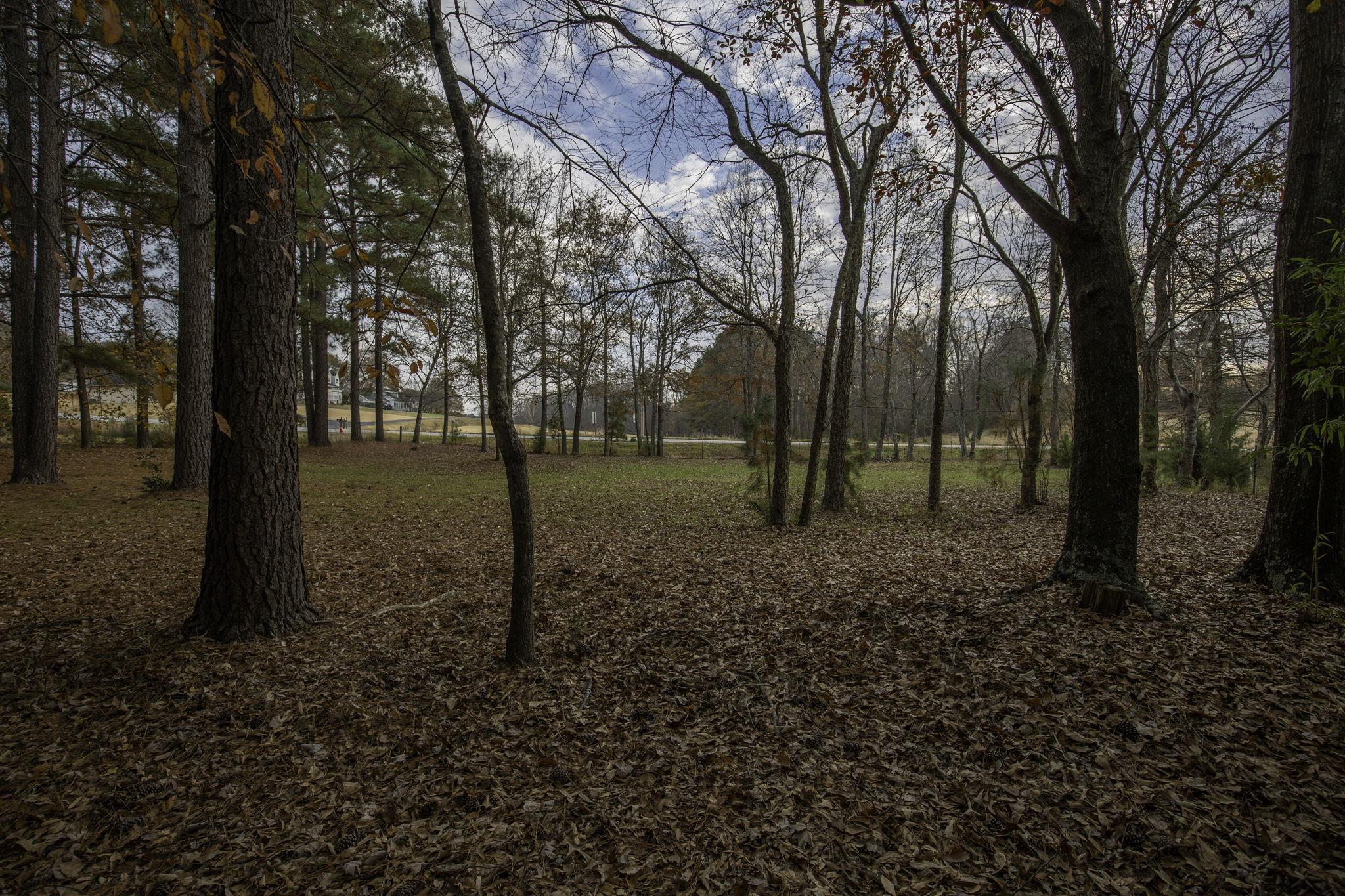 2120 Gap Creek Road Greer, SC 29651 - Photo 30 of 44