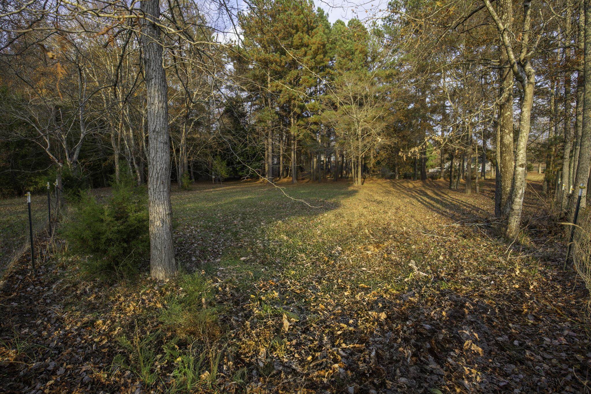 2120 Gap Creek Road Greer, SC 29651 - Photo 39 of 44