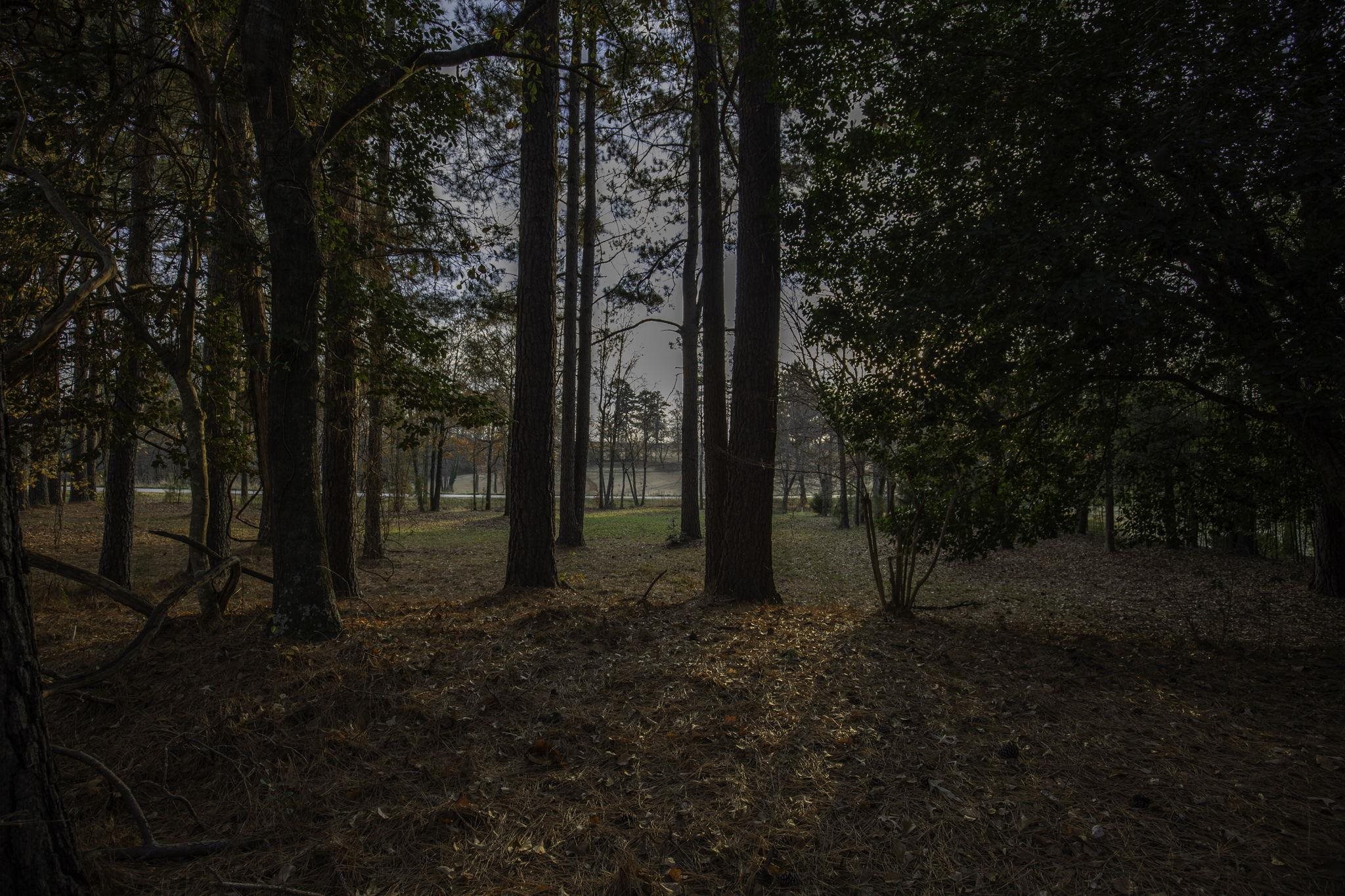 2120 Gap Creek Road Greer, SC 29651 - Photo 42 of 44