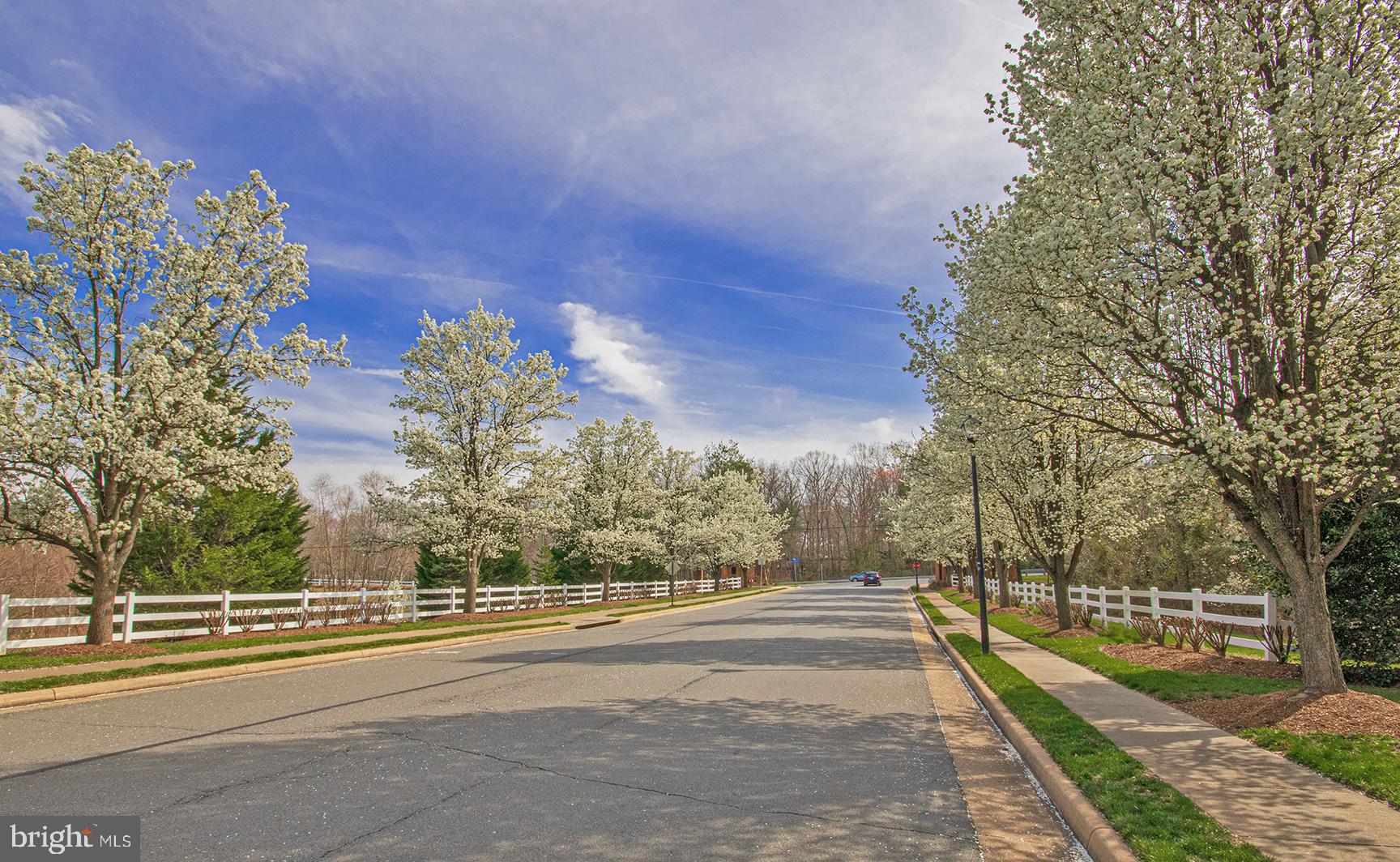 1319 Aldbury Way Reston, VA 20194 - Photo 13 of 78 tree lined street in neighborhood