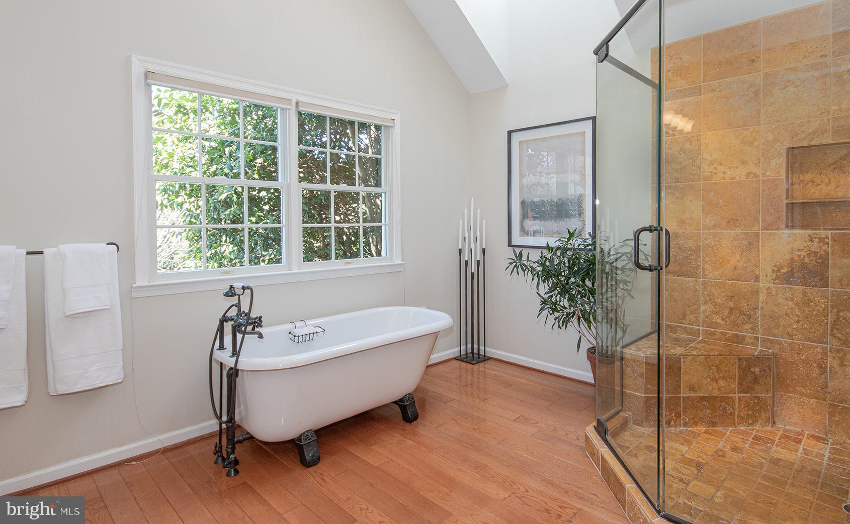 1319 Aldbury Way Reston, VA 20194 - Photo 43 of 78 soaking tub gets lots of light from sky light